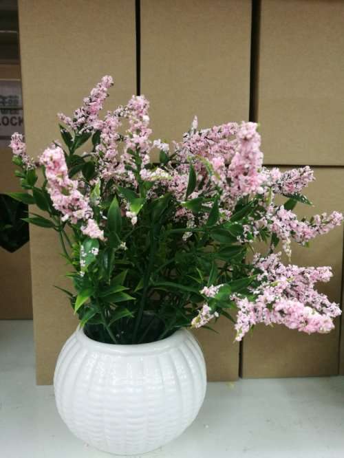 simulation flower plastic plastic flower potted plants R40 EACH IF YOU BUY 10 UNITS